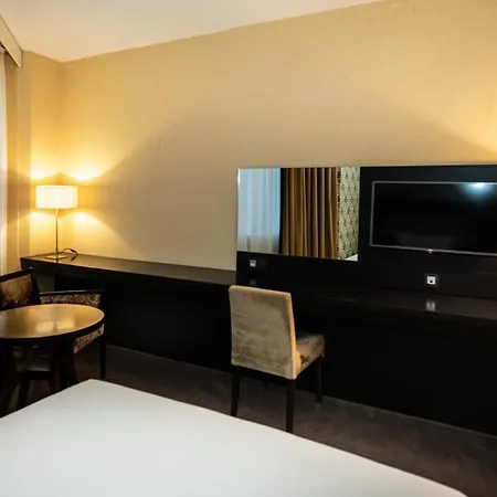 Mercure South Antverpy